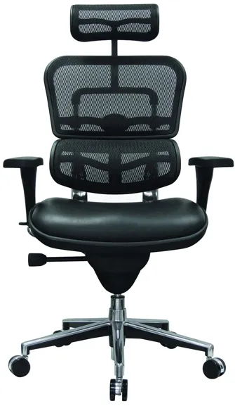 Ergo Hi Leather Seat/Mesh Back in Black