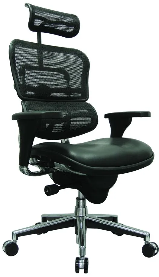 Ergo Hi Leather Seat/Mesh Back in Black