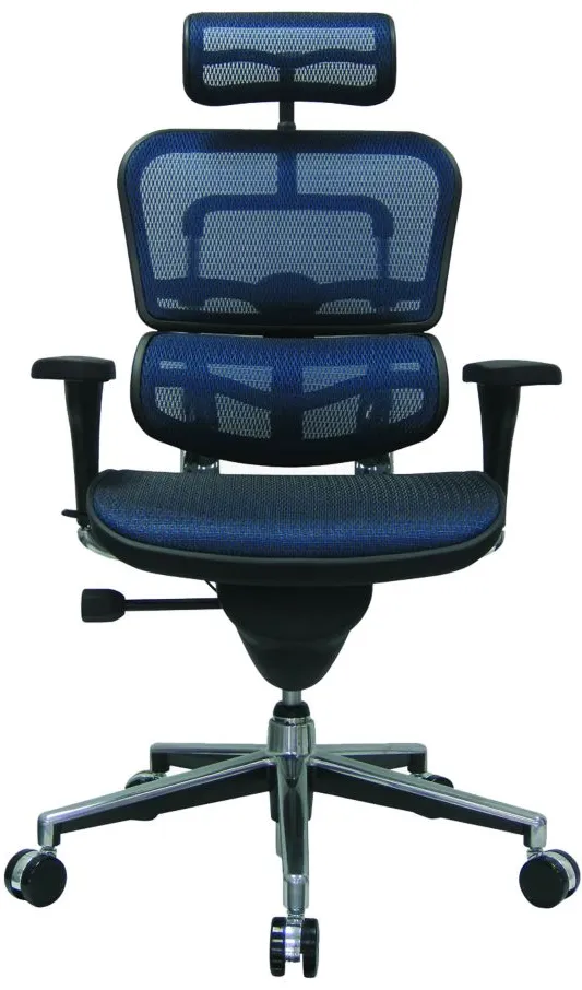 Ergo Hi Back-Mesh in Blue