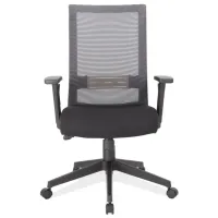 Voodoona Task Chair in Gray Mesh Back with Black Fabric Seat; Black by Coe Distributors