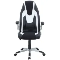 Parry Computer Chair in Silver by Chintaly Imports