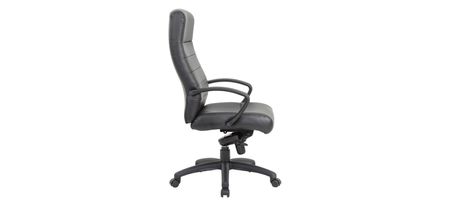Sadol Executive Office Chair in Black Leather; Black by Coe Distributors