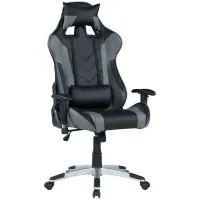 Modern Ergonomic Computer Chair in Silver by Chintaly Imports