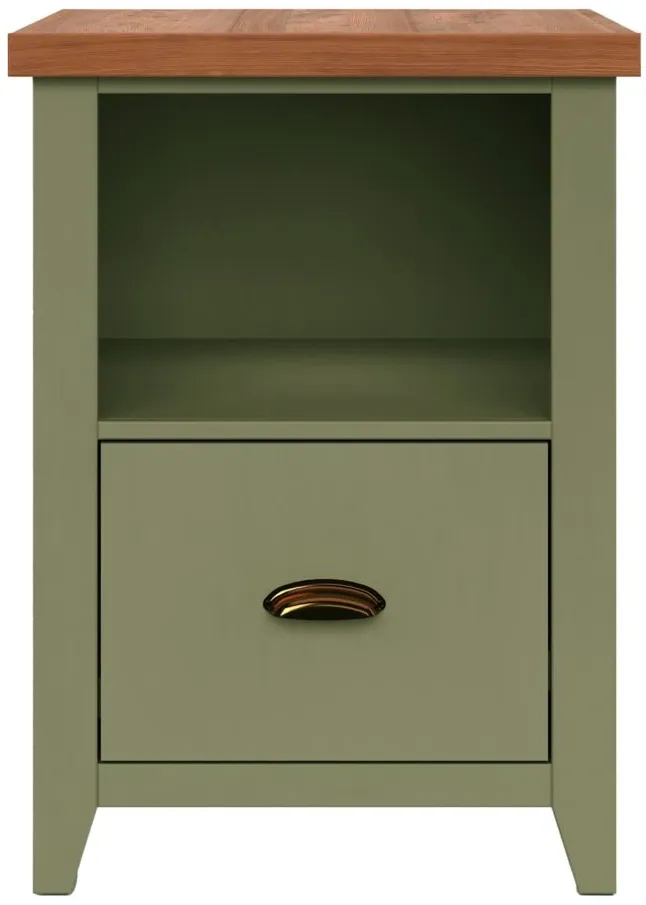 Vineyard File Cabinet in Sage with Fruitwood by Legends Furniture