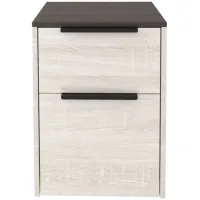Arlenbry Casual File Cabinet in Two-tone by Ashley Express