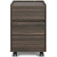 Zendex File Cabinet in Brown by Ashley Express