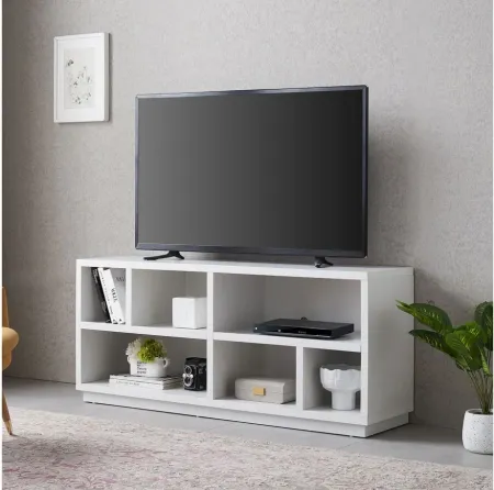 Holland TV Stand in White by Hudson & Canal