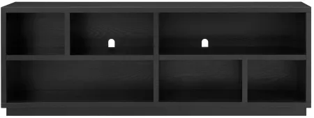 Holland 70" TV Stand in Black Grain by Hudson & Canal