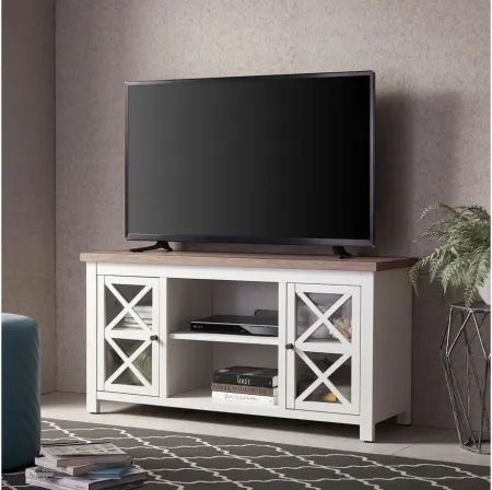 Eve TV Stand in White/Gray Oak by Hudson & Canal