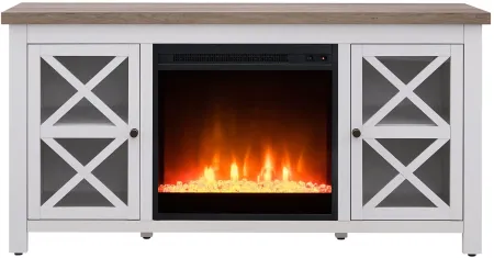 Eve TV Stand with Crystal Fireplace Insert in White/Gray Oak by Hudson & Canal