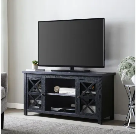 Eve TV Stand in Black by Hudson & Canal