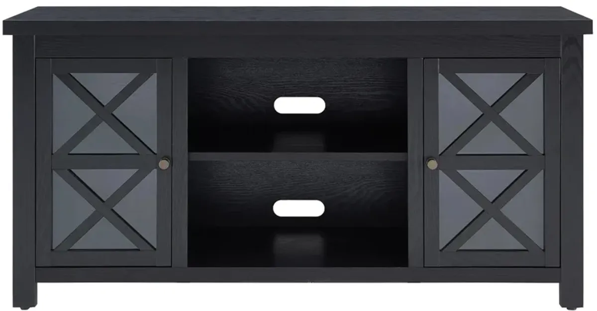 Eve TV Stand in Black by Hudson & Canal