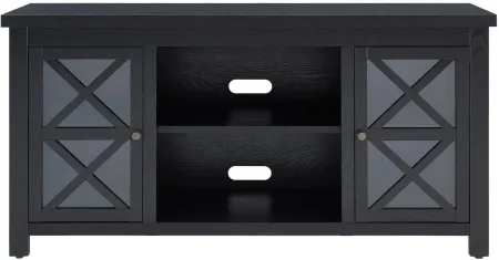 Eve TV Stand in Black by Hudson & Canal