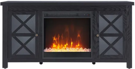 Eve TV Stand with Crystal Fireplace Insert in Black by Hudson & Canal