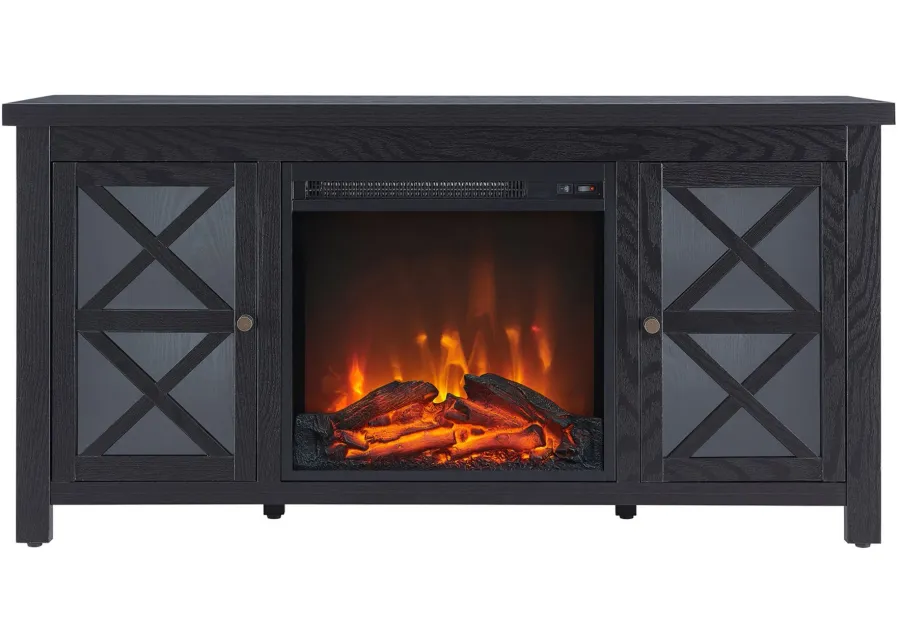 Eve TV Stands with Log Fireplace Insert in Black by Hudson & Canal