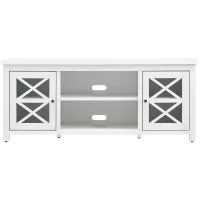 Eve 58" TV Stand in White by Hudson & Canal