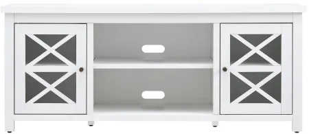 Eve 58" TV Stand in White by Hudson & Canal