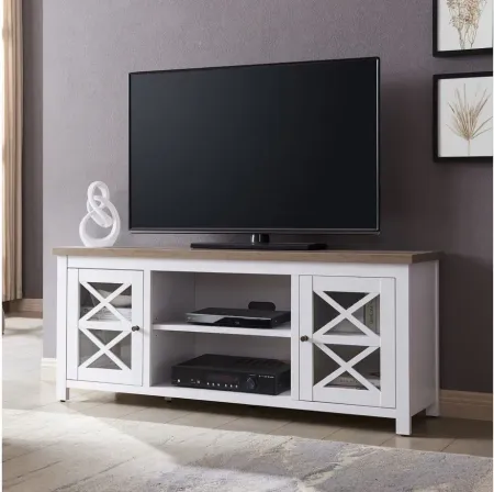 Eve 58" TV Stand in White/Gray Oak by Hudson & Canal