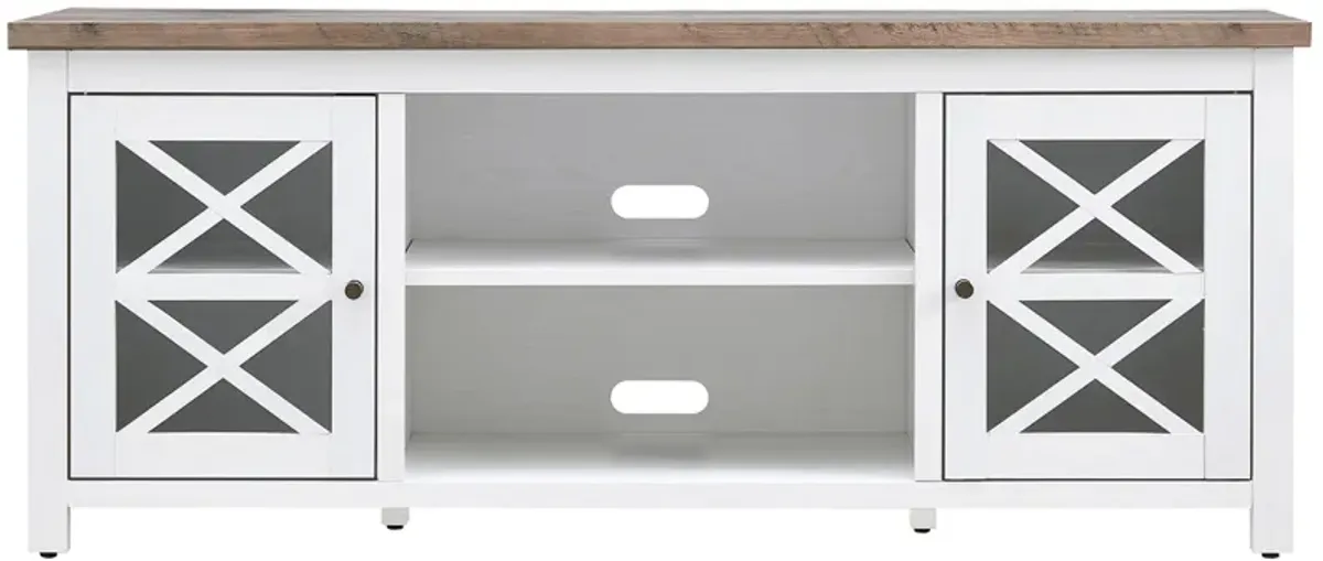 Eve 58" TV Stand in White/Gray Oak by Hudson & Canal