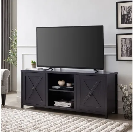 Taylor 58" TV Stand in Black by Hudson & Canal