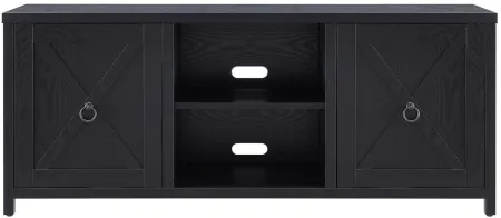Taylor 58" TV Stand in Black by Hudson & Canal