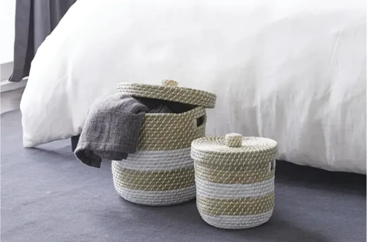 Ivy Collection Storage Baskets - Set of 2