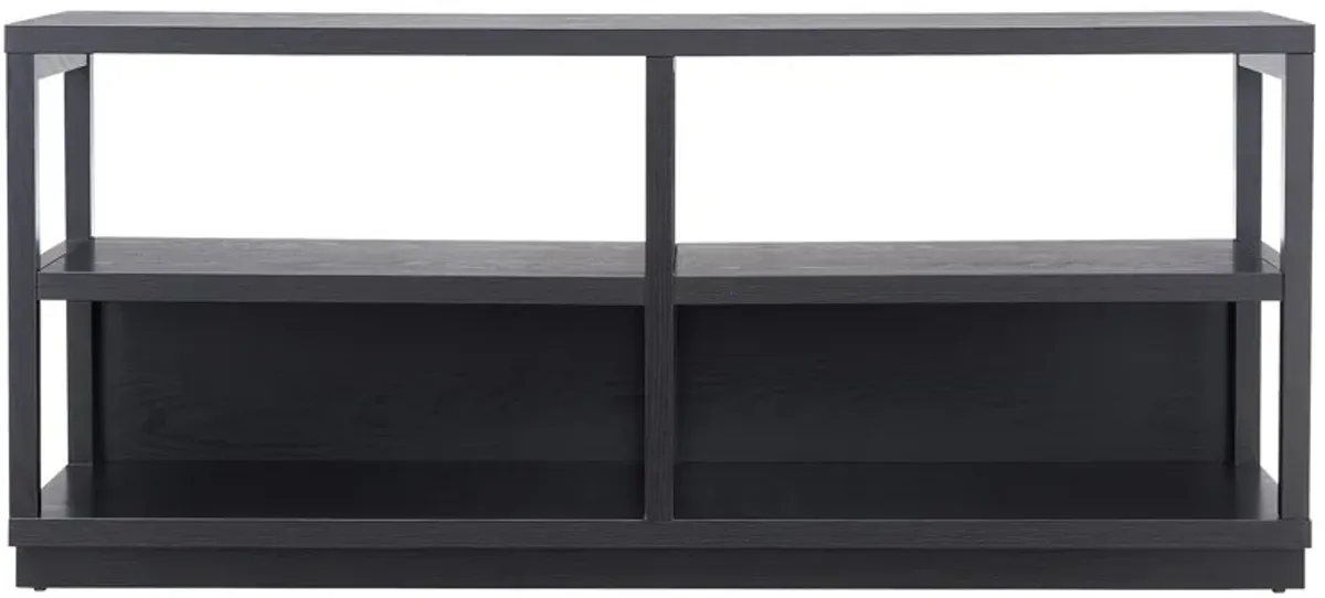 Nicole 55" TV Stand in Black by Hudson & Canal