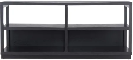 Nicole 55" TV Stand in Black by Hudson & Canal