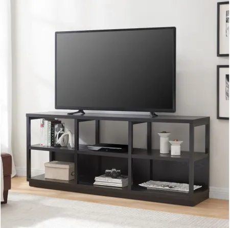 Nicole 68" TV Stand in Black by Hudson & Canal
