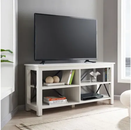 Paisley 50" TV Stand in White by Hudson & Canal