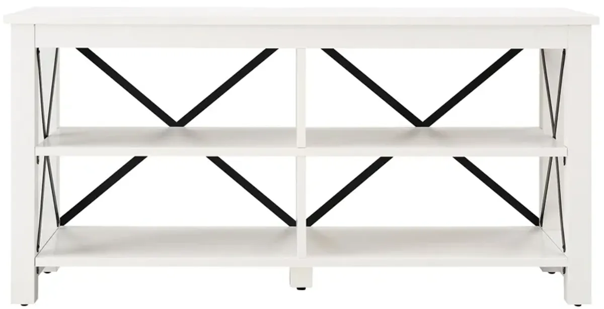 Paisley 50" TV Stand in White by Hudson & Canal