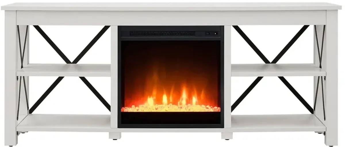 Paisley 58" TV Stand with Crystal Fireplace Insert in White by Hudson & Canal