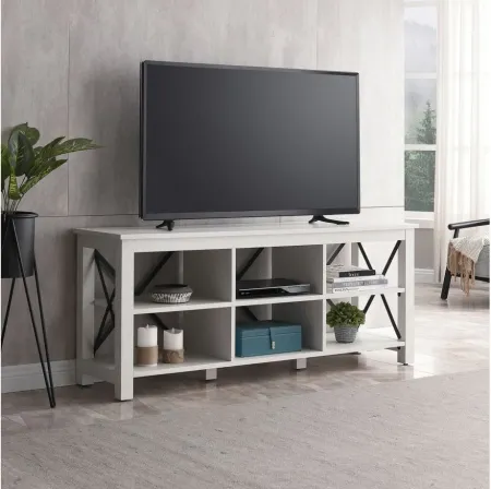 Paisley 58" TV Stand in White by Hudson & Canal
