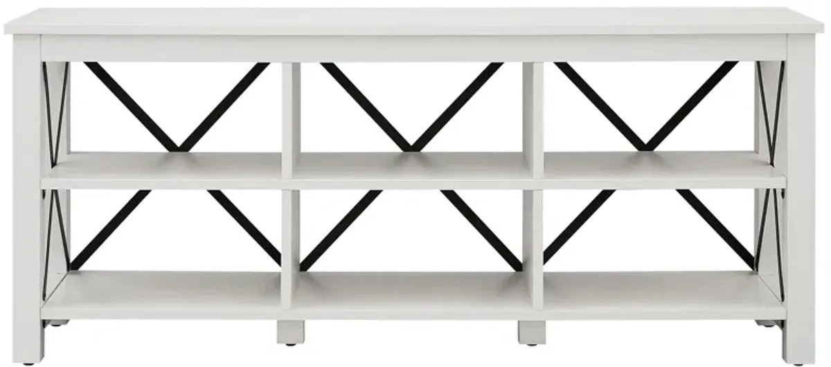 Paisley 58" TV Stand in White by Hudson & Canal