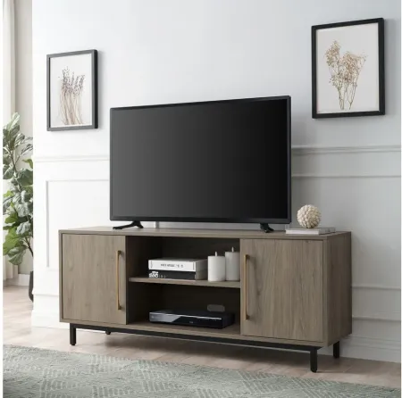 Beck 58" TV Stand in Antiqued Gray by Hudson & Canal