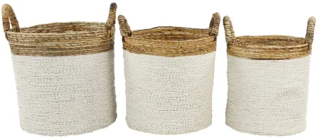 Ivy Collection Storage Basket - Set of 3 in White by UMA Enterprises