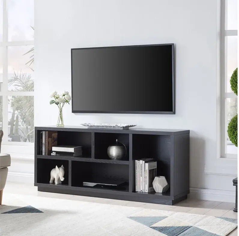 Winston 58" TV Stand in Black by Hudson & Canal