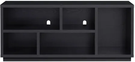 Winston 58" TV Stand in Black by Hudson & Canal