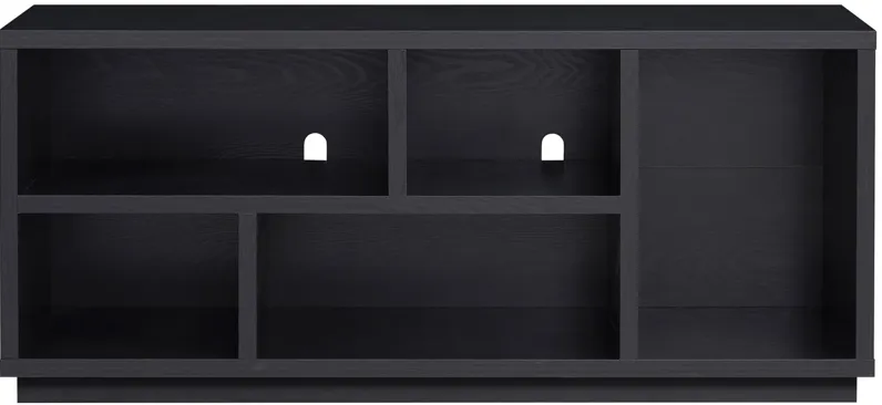 Winston 58" TV Stand in Black by Hudson & Canal