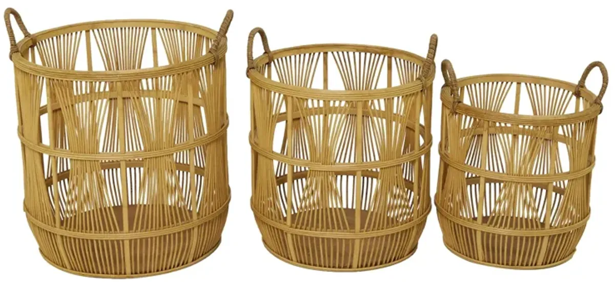 Ivy Collection Storage Basket - Set of 3 in Brown by UMA Enterprises