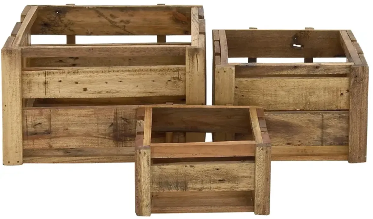 Ivy Collection Tesco Crate - Set of 3 in Brown by UMA Enterprises