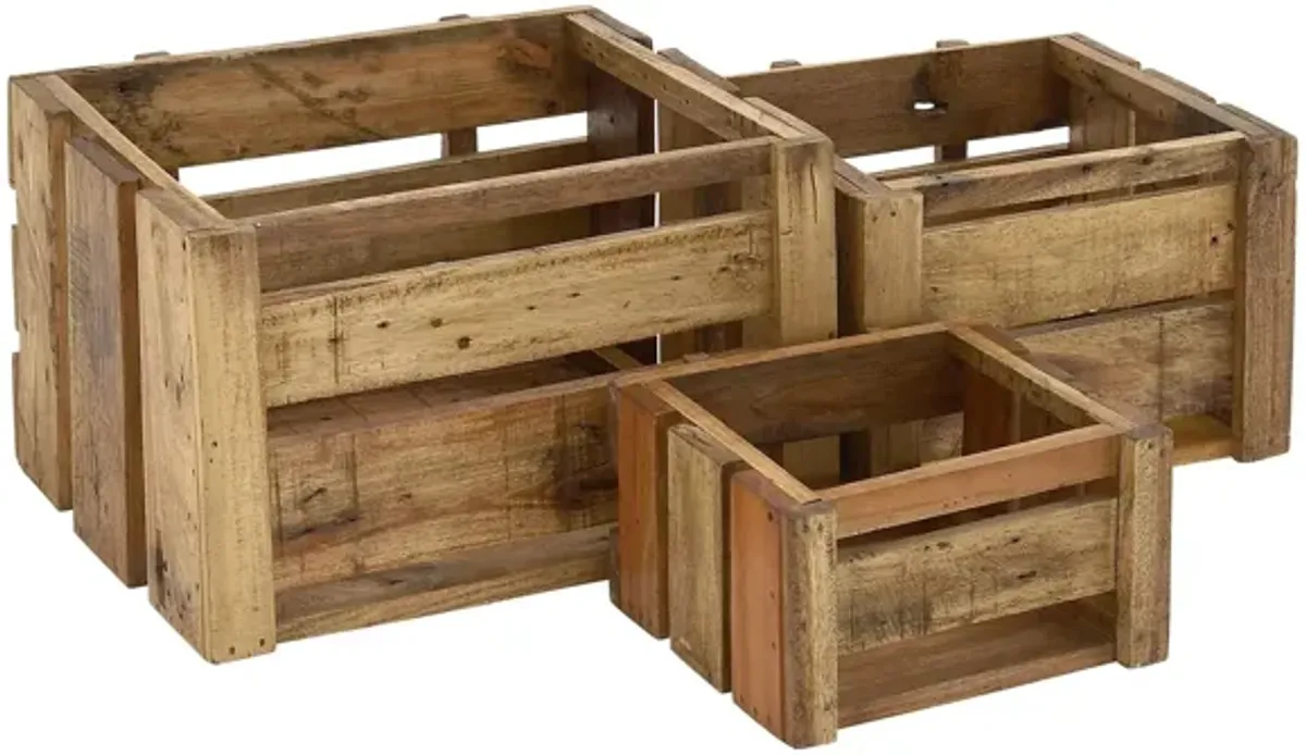 Ivy Collection Tesco Crate - Set of 3