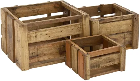 Ivy Collection Tesco Crate - Set of 3 in Brown by UMA Enterprises