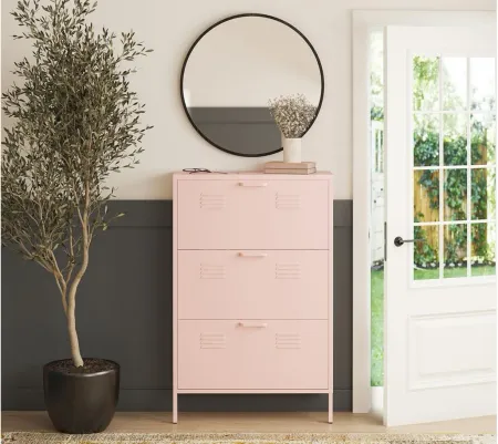 Mission District Locker Shoe Cabinet in Pale Pink by DOREL HOME FURNISHINGS