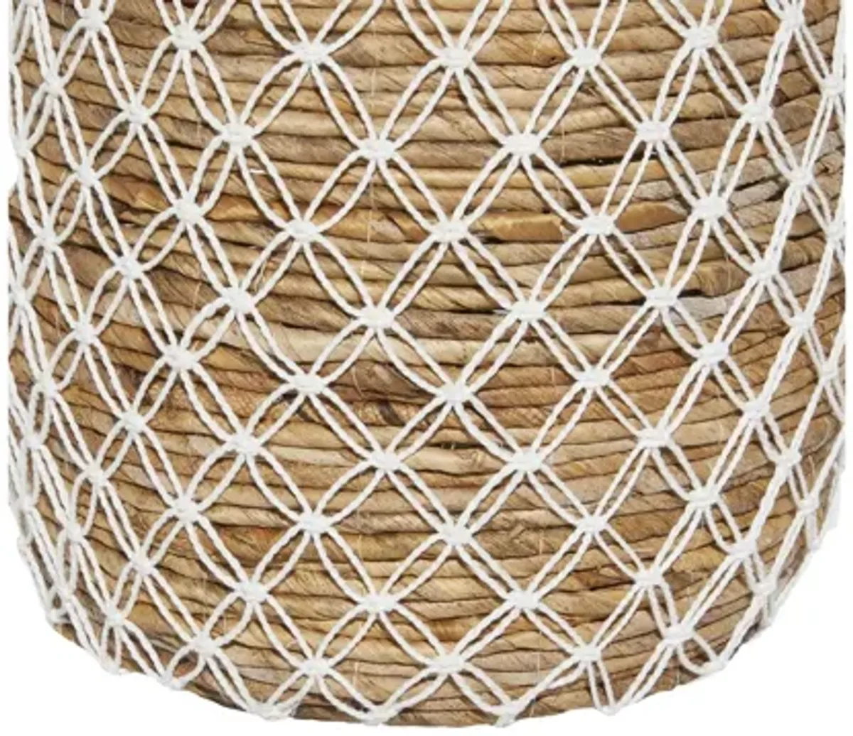 Ivy Collection Storage Basket Set of 2