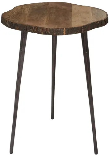 Ivy Collection Tree Bark Accent Table in Brown by UMA Enterprises