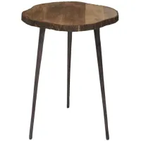 Ivy Collection Tree Bark Accent Table in Brown by UMA Enterprises