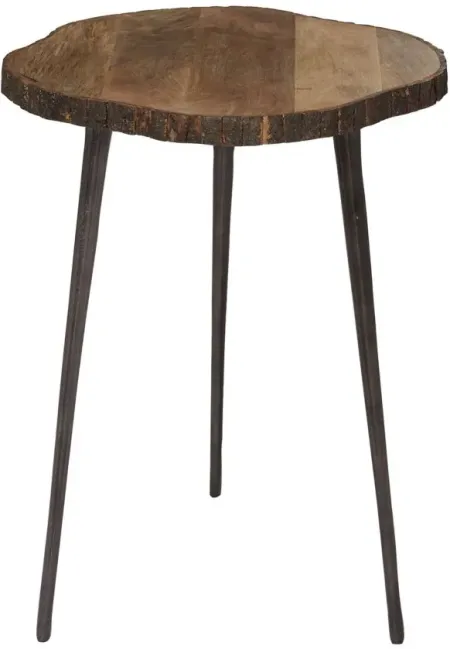 Ivy Collection Tree Bark Accent Table in Brown by UMA Enterprises