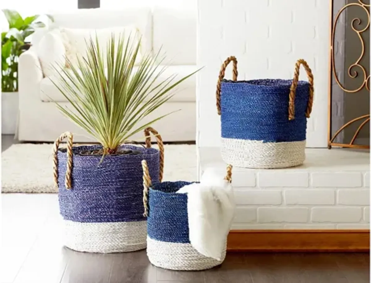 Ivy Collection Storage Basket - Set of 3