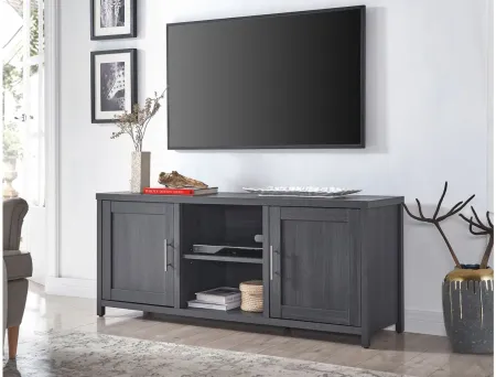 Eden TV Stand in Charcoal Gray by Hudson & Canal
